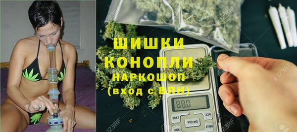 МДПВ Нестеровская